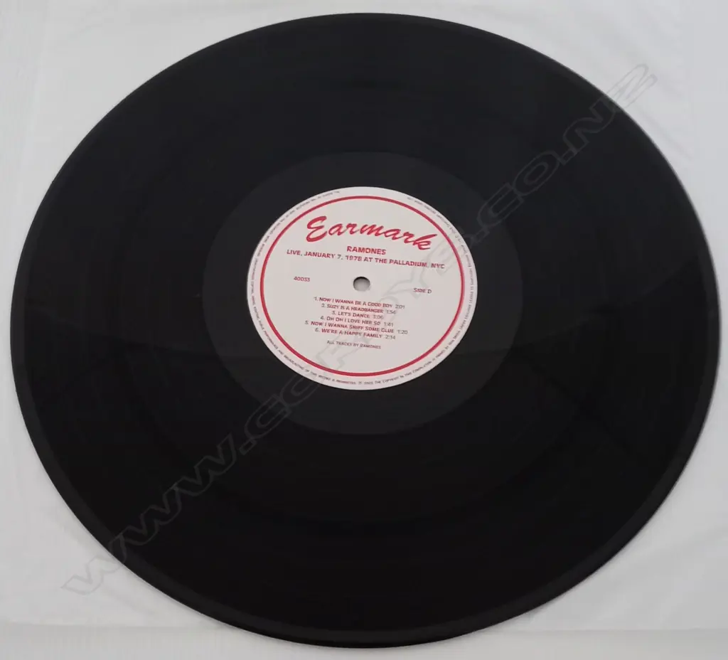 Ramones, Live, January 7, 1978 At The Palladium, NYC (Double album) Image 1++